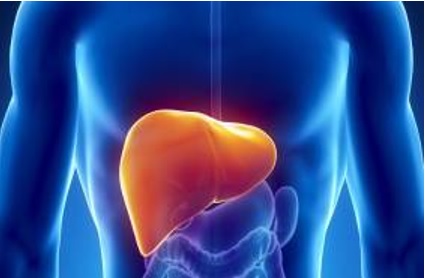 Basic facts and 11 ways to protect against liver disease